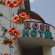 Фото Hotel Rose