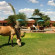 Фото Kalahari Anib Lodge