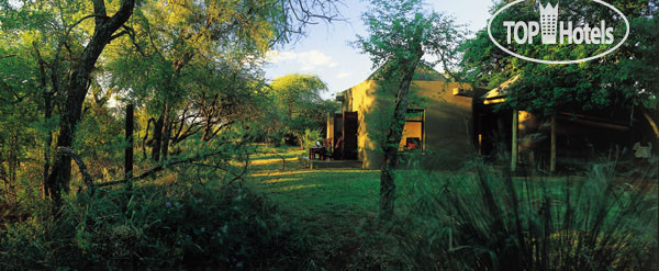 Фото Sabi Sabi Bush Lodge