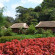 Фото Ecolodge Pan Hou Village