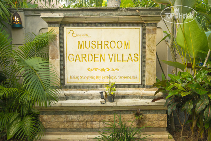 Фото Mushroom Garden Villas