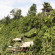 Фото Ubud Cliff Villas