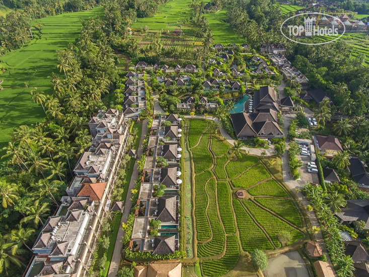 Фото Desa Visesa Ubud