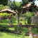 Фото Shanti Natural Panorama View Hotel