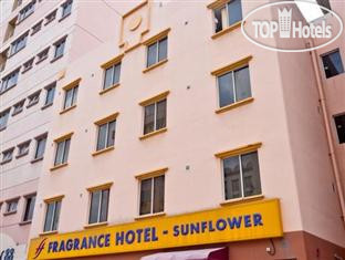 Фото Ibis budget Singapore Ametrine (ex.Fragrance Hotel-Sunflower)