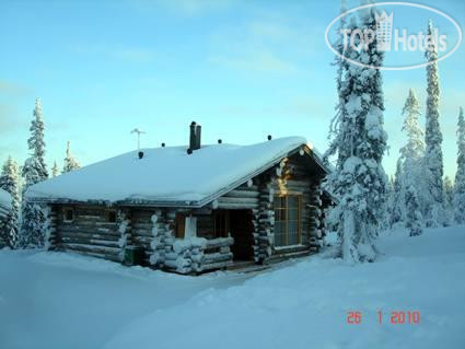 Фото Metsahanhi Cottage