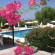 Citrus Tree Gardens 3*