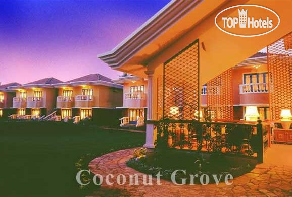 Фото Coconut Grove