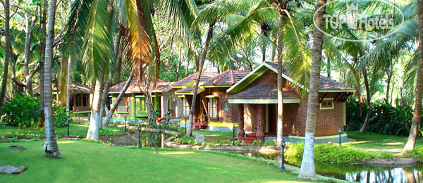 Фото Kairali Ayurvedic Healing Village