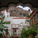 Фото Krishna Prakash Heritage Haveli Hotel