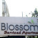 Фото Blossoms Serviced Apartments