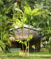 Фото Mangrove Villa - Bentota River