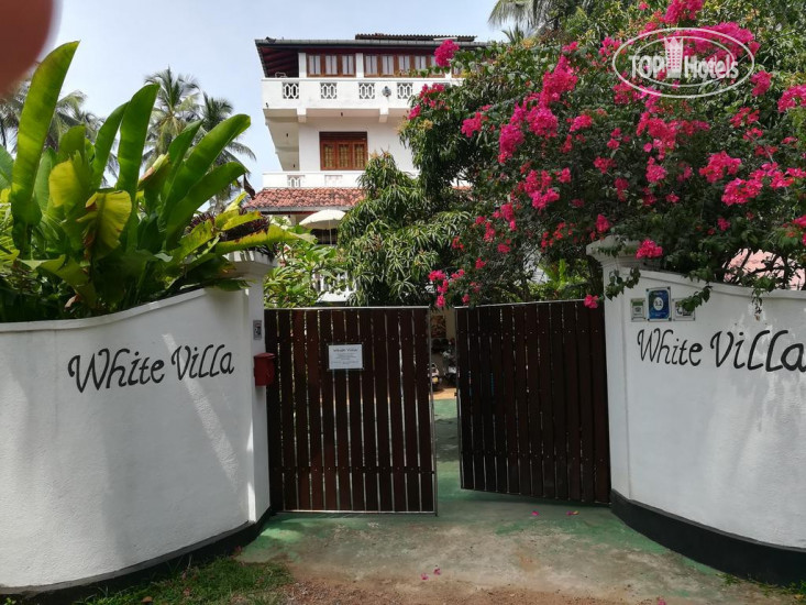 Фото White Villa