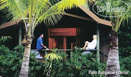 Фото Palm Bungalows