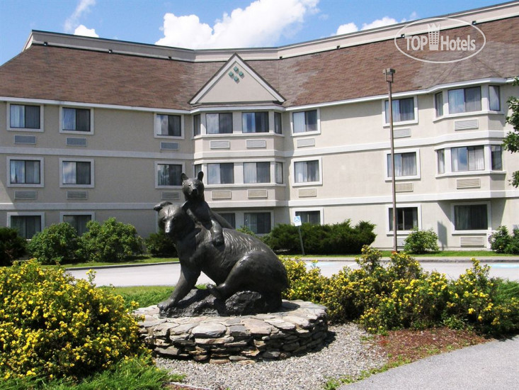 Фото Black Bear Inn Conference Center & Suites