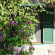 Фото Olive Farm Of Datca Guesthouse