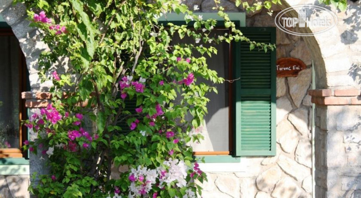 Фото Olive Farm Of Datca Guesthouse