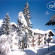 Фото Sunstar Alpine Hotel Flims