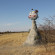 Фото Planet Baobab