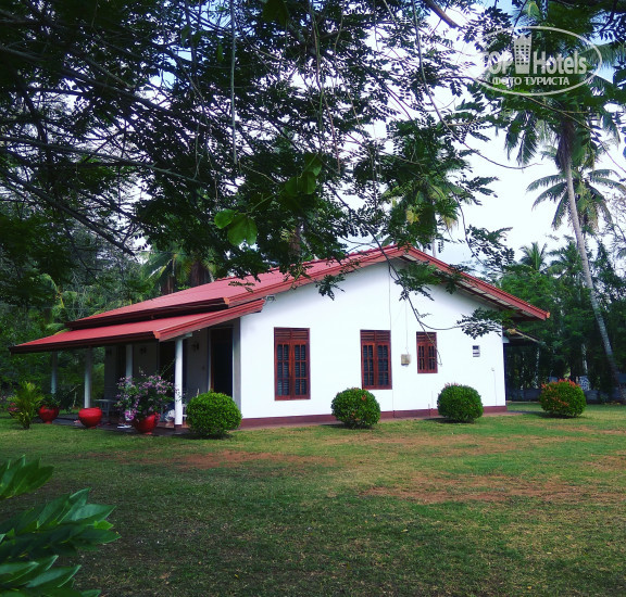 Фото Rajawatta Villa