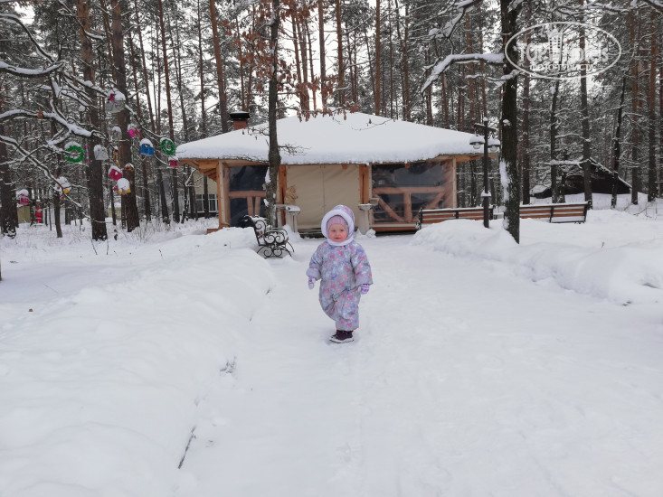 Фото Зеленый Бор