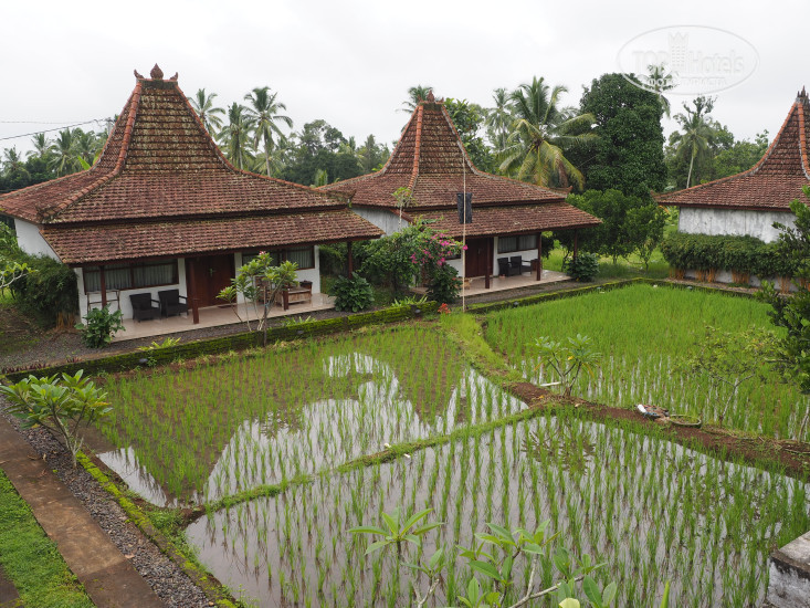 Фото Kampoeng Joglo Ijen